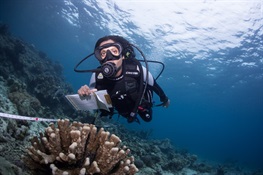 Coral Bleaching Ready for Crowdsourcing Solution